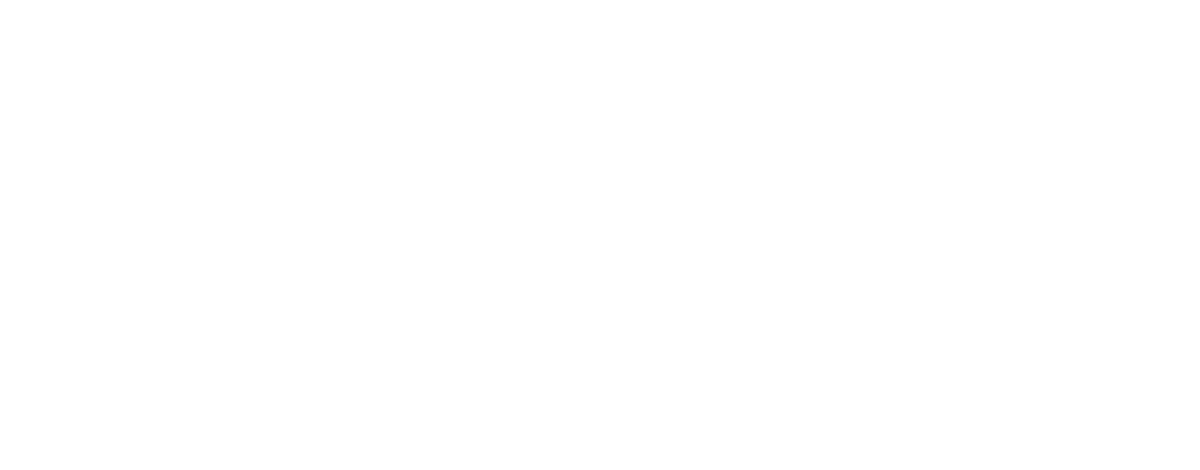 BDO_logo-white